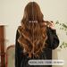 Long Mixed Brown Highlights Wavy Wig For Women Natural Synthetic Curly Wig Heat Resistant Fiber Wig For Everyday WearWavy Wigs_ipsvogv.com