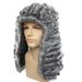 Lawyer wig judge hat American gentleman dance party wig holiday supplies court judge wig_ipsvogv.com