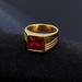 Minimalist Fashion Personality Inlaid Red Trendy Jewelry Titanium Steel Ring Band_ipsvogv.com