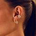 Women's Jewelry Pig Nose Earrings Light Luxury High End Design Exquisite Versatile Earrings Ear Clips Earrings_ipsvogv.com