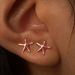 Hot Selling Fashion Simple Brass Real Gold Electroplated Small Starfish Earrings Exquisite And Lightweight Ladies Earrings_ipsvogv.com