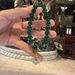Natural Green Agate Bracelet With Auspicious Clouds, Lucky Jade, Chinese Bracelet, Best Friend, Buddha Style Gift,_ipsvogv.com