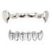 Hot Sale Gold Plated Hip Hop Braces Gold Plated Smooth Flat Teeth Hip Hop Gold Teeth_ipsvogv.com