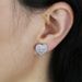 Women's Jewelry Heart Shaped Zircon Earrings Niche Design High End Earrings Accessories_ipsvogv.com