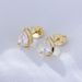 Women's Jewelry Water Drop Zircon Earrings 925 Sterling Silver Light Luxury High End Versatile Earrings Ear Jewelry_ipsvogv.com