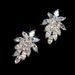 Cao Shi's New Super Zirconia Horse Eye Drill Sparkling Crystal Creative Leaf Women's Earrings_ipsvogv.com