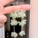 Women’s Jewelry Set Fashion Super Fairy White Flower Earrings For Women Long Tassel Temperament Net Red Ear Hook New Trend Earrings_ipsvogv.com