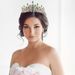 Bridal Crown Alloy Hair Accessories Wedding Dress Rhinestone Headband Electroplating Birthday Crown Dinner Wedding Headdress_ipsvogv.com