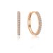 Silver Moissanite Earrings, Row Of Diamond Earrings, Simple And Fashionable, Light Luxury, Full Row Of Moissanite Earrings_ipsvogv.com