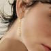 S925 sterling silver plated with 14K gold inlaid zircon tassel earrings high end light luxury long earrings for women_ipsvogv.com