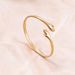 Titanium C-shaped Snake Shaped Adjustable Stainless Steel Women's Exaggerated High-end Opening Bracelet_ipsvogv.com