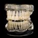 Jin'ao Four Single Bracelet New Trendy Personality Asymmetric Super Immortal Star Tooth Decoration Cold Style Small_ipsvogv.com