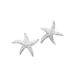 Cao Shi Haixing Female Ocean Cooled Light Wind Internet Celebrity New With Cute Charm Star Earrings_ipsvogv.com