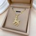 Wangwang 【 】 VIP Dog Light Luxury Charm Gorgeous Full Diamond Necklace Women's Versatile Clavicle Titanium Steel Chain 【 】_ipsvogv.com