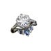 Sanjie 2024 New Instagram Engagement Set With Zircon Ring Fashion Alloy Jewelry_ipsvogv.com