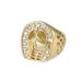Hip hop titanium steel/stainless steel gold plated diamond horse head men's ring_ipsvogv.com