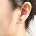 Unisex popular jewelry Korean four claw earrings micro inlaid platinum/rose gold earrings_ipsvogv.com