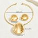 Metallic style women's geometric earring set, niche circular pendant design, collarbone chain necklace accessory_ipsvogv.com