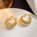 Small Design Ox Horn Wrap Metal Titanium Steel Earrings for Women's 2023 New Light Luxury Premium Feel Earrings_ipsvogv.com