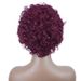 Pixie Short Bob Wigs 100% Human Hair For Women 1B 99j Wine Colored Short Bob Curly Wig_ipsvogv.com