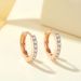 S925 Sterling Silver With Diamond Single Row Diamond Earrings Circle Simple Light Luxury Earrings_ipsvogv.com