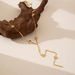 New Heart-shaped Long Tassel Necklace For Women, Niche, Light Luxury, High-end, Stainless Steel Fashion Trend Collarbone_ipsvogv.com