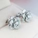Cao Shi's New Delicate Camellia Series High Grade Light Luxury Flower Zircon Earrings Female_ipsvogv.com