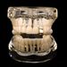 Unisex Jewelry Fashion Cute animal shape kitten single braces spider bee personality gold teeth men and women HIPHOP tooth decorationHIPHOP tooth_ipsvogv.com