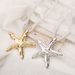 N11944 Design Beach Starfish Pendant Necklace for Women ZA Summer New Irregular Alloy Collar Chain_ipsvogv.com