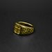 Statement Rings 316 stainless steel gold plated Ankh polished striped ring_ipsvogv.com