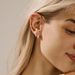 Women’s Jewelry Set Fashion Hot Sale Real Gold Brass Electroplating Niche Design Fashion Wide Earrings Ladies Earrings Set_ipsvogv.com