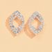 Unisex Jewelry Earrings Wholesale Simple Water Diamond Diamond Women's Earrings_ipsvogv.com