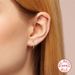 Women's Jewelry S925 Sterling Silver Classic Four Claw Single Diamond Earrings Minimalist Ins Style Earrings_ipsvogv.com
