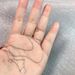 people 3880 Praised New S Pure Silver Zircon Small Diamond Necklace For ! Women, Light Luxury Instagram Temperament,_ipsvogv.com