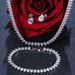 Elegant, Simple Versatile Dress, Banquet And Annual Meeting Accessories, Bride's Wedding Zircon Necklace, Earring Set_ipsvogv.com