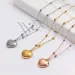 X574 Style Designer Letter Pendant Nes Gold Plated Crysat Women Wedding Party Jewerlry Accessories Double Heart_ipsvogv.com