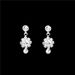 Silver Crystal Bridal Jewelry Set - Necklace & Earrings (European & American Style, Wedding Dinner Gift For Jewelry Lovers)_ipsvogv.com