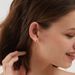 Women's Jewelry Inlaid Zircon U Shaped Earrings High End Design Temperament Fashion T Shaped Earrings Simple Earrings_ipsvogv.com
