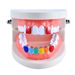 Unisex New Hot Sale Hip Hop Colorful Braces Two Teeth Combination Braces Real Gold Hip Hop Braces_ipsvogv.com