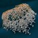 Handmade Full Diamond Crown Headdress Bride Crown Full Of Star Round Diamond Wedding Dress Wedding Headdress_ipsvogv.com