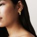 Painted Roses Flowers C Shaped Earrings Light Luxury Earrings_ipsvogv.com