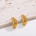 Unisex Earrings Personalized Niche Exaggerated Crescent Design Thread Earrings Simple Plain Hoop Earrings_ipsvogv.com