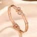 New Titanium Steel Bracelet For Women, Roman Ring Double Diamond Zircon, High Grade Sensation, Internet Celebrity_ipsvogv.com