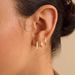 Women’s Jewelry Set Fashion Hot Sale Real Gold Brass Electroplating Light Luxury Style Geometric Earrings High End Earrings Set_ipsvogv.com