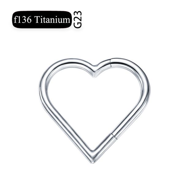 G23 Titanium Nose Ring PVD Layer Daith Heart Earring Hoop Helix Rings Hinged Segment Cartilage Tragus Hoop with Clear CZ_ipsvogv.com