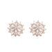Simple And Fresh Japanese And Korean Style Earrings For Women Inlaid With Zircon Niche Design Snowflake Earrings Personality Full Diamond Earrings_ipsvogv.com