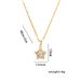 Chinese Style Exquisite And High-end Five Pointed Star Titanium Steel Necklace, Women's Micro Inlaid Zircon Collarbone_ipsvogv.com