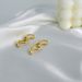 Gold-Plated Copper Light Luxury Personality Simple Cold Style Irregular Long Mixed Earrings_ipsvogv.com