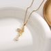 Butterfly Necklace Women's Summer 2023 New Light Luxury and Small Market Design Sense High Grade Collar Chain Tassel_ipsvogv.com