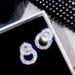 Zircon micro setting geometric Double Round Earrings temperament simple super flash Earrings Fashion Circle Earrings women e5609_ipsvogv.com